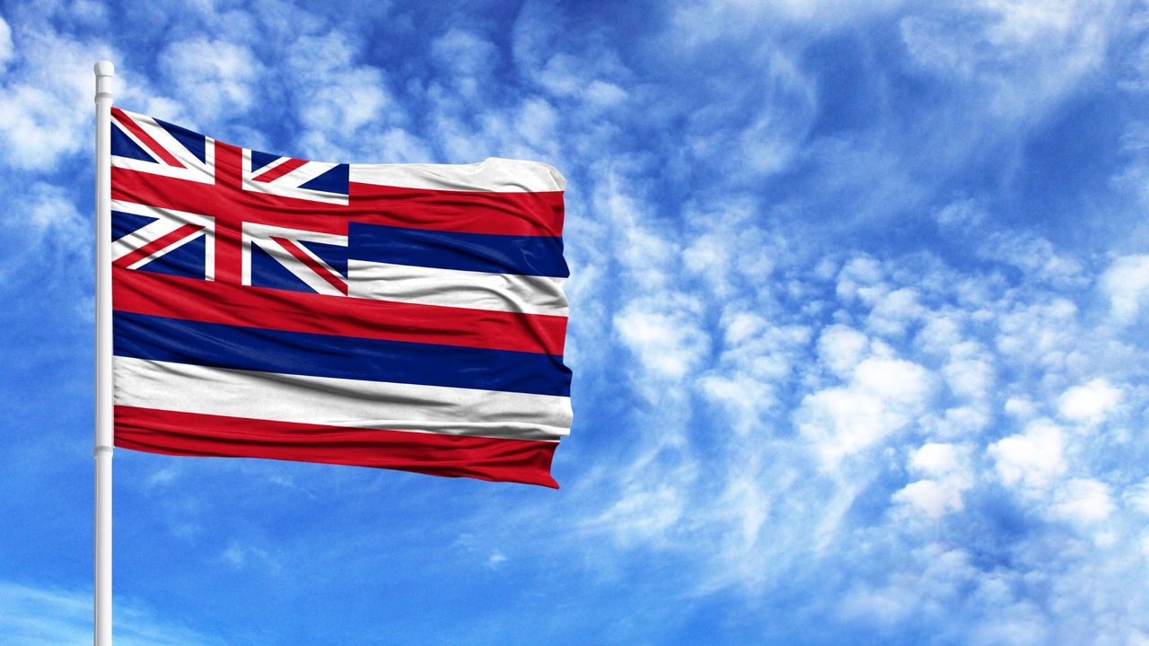 Hawaii’s biggest insurer State Farm takes quick 1100 wildfire claims